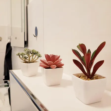 Apartman Work & Relax In Industrial Area